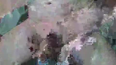 cogela_sin_miedo online show from October 2025 11:46:01 PM
