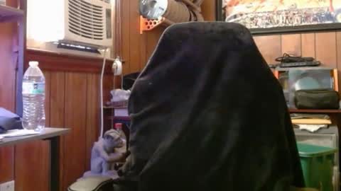 Nelson or ComicKing and sometime Peachy143 online show from May 2026 10:28:01 PM