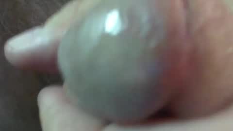 comox online show from January 2025 12:31:02 AM