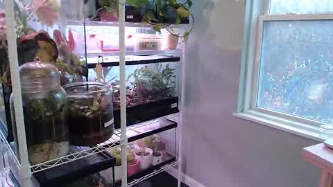 ANR Mommy online show from November 2025 05:22:01 PM