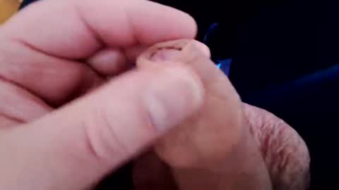 Harry 13 online show from March 2025 02:45:02 PM