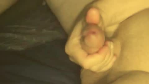 Snapshot of cookieforme chatting on September 2025 08:30:02 PM cookieforme online show from September 2025 08:30:02 PM