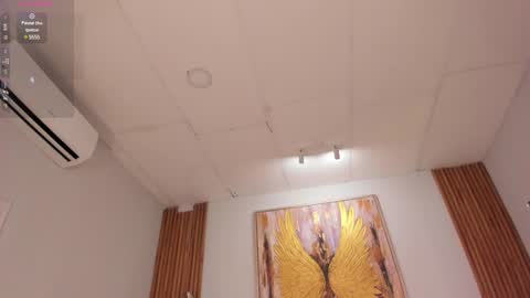 Cori online show from January 2025 03:32:01 PM