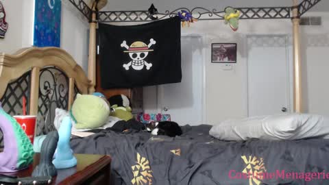 Amethyst Cox online show from January 2025 12:20:02 AM