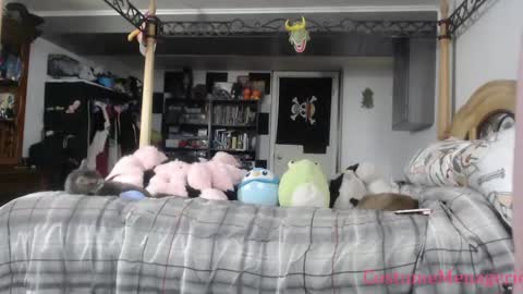 Snapshot of costumemenagerie chatting on April 2026 10:44:02 PM Amethyst Cox online show from April 2026 10:44:02 PM