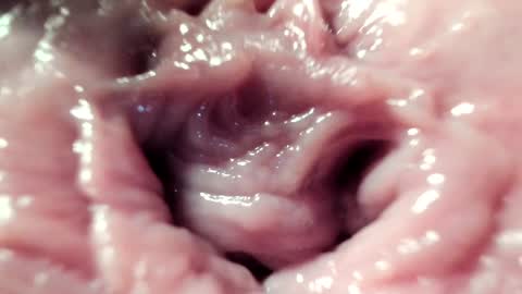 Im Courtney Nice to meet youFollow meInstagram courtneyluv778 online show from January 2025 08:06:02 PM