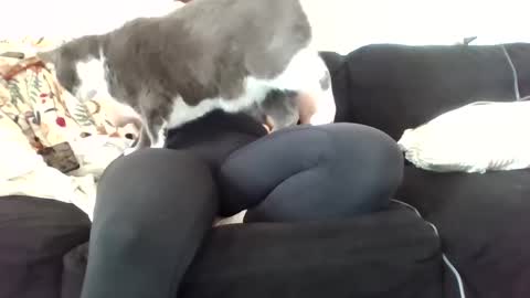 courtxoxo_o online show from February 2025 09:31:02 PM