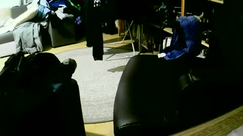 coyote017 online show from January 2025 06:09:01 AM