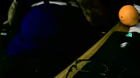 coyote017 online show from February 2025 07:59:02 PM