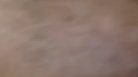 Snapshot of coyote017 chatting on July 2026 04:05:01 AM coyote017 online show from July 2026 04:05:01 AM