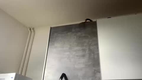 cp1a online show from March 2026 02:34:01 PM