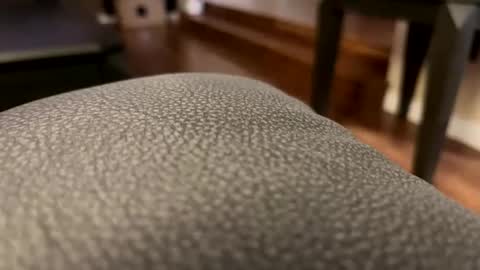 Cranada777 online show from February 2026 01:49:01 AM