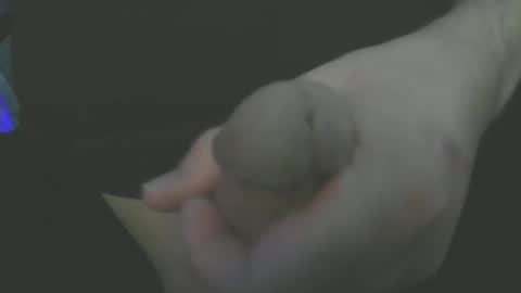 lone stallion online show from February 2025 03:51:01 AM