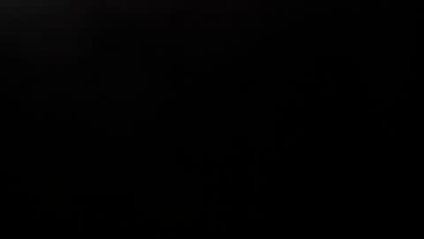 LAURA online show from January 2025 02:41:01 PM