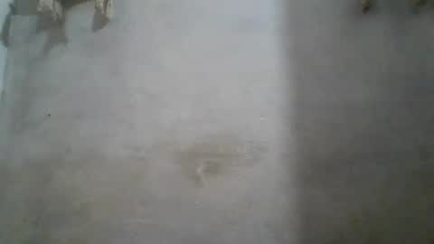 Snapshot of crazzy_booy chatting on June 2026 04:32:02 AM crazzy_booy online show from June 2026 04:32:02 AM
