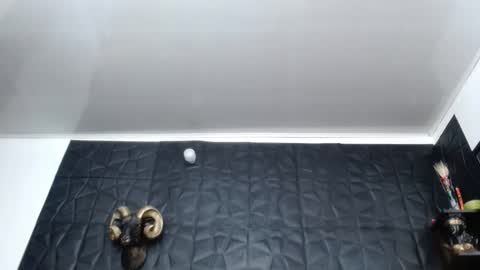 Snapshot of cristal_smith06 chatting on February 2026 10:25:01 AM Hanna online show from February 2026 10:25:01 AM