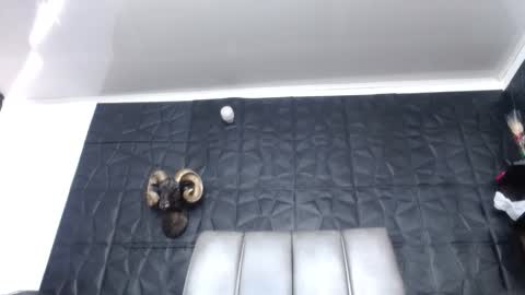 Snapshot of cristal_smith06 chatting on March 2026 02:01:02 PM Hanna online show from March 2026 02:01:02 PM