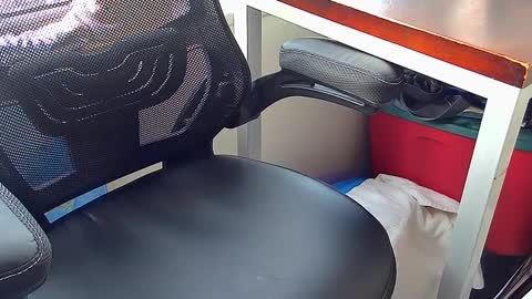 Cristiano Ronaldo sexy man online show from February 2025 11:55:02 PM