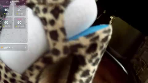 crossdresser krystal online show from March 2026 08:00:01 PM