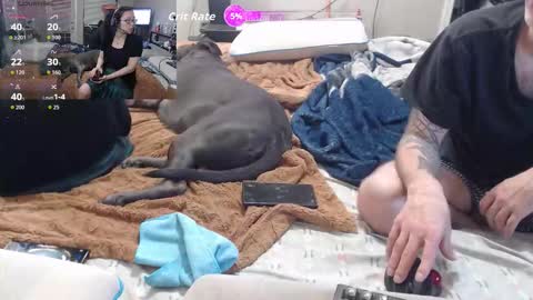 Crownandkat online show from March 2026 11:33:01 PM