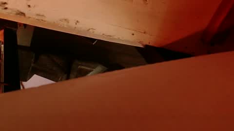 cryan96 online show from February 2025 08:56:02 AM