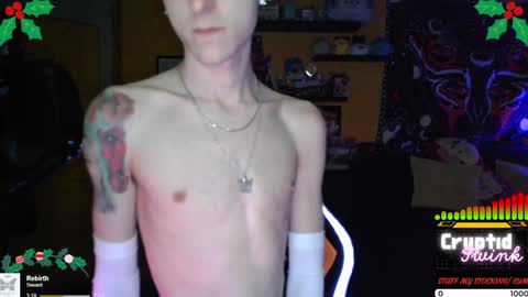 Snapshot of cryptidtwink chatting on December 2024 04:55:01 AM CryptidTwink online show from December 2024 04:55:01 AM