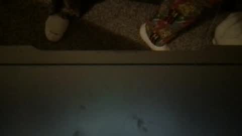 CuddleFuckXXX online show from April 2026 03:15:01 AM