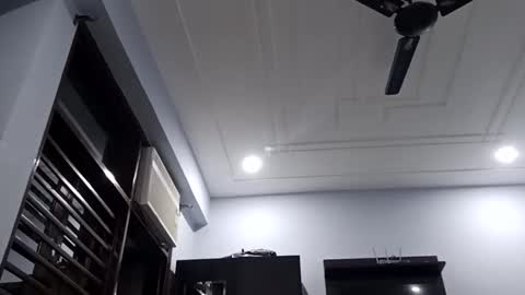 cuddlemuffins online show from February 2026 03:23:01 PM