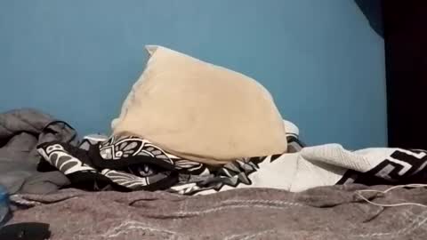 cumbian_chero online show from February 2025 01:22:01 AM