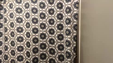 ConCon online show from January 2025 12:36:01 AM