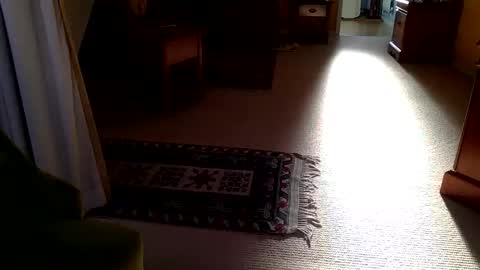 cumonherguys online show from October 2025 08:29:02 AM