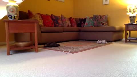 cumonherguys online show from November 2025 08:25:02 AM