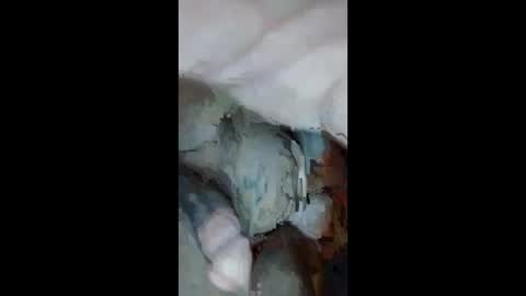 Aprilia online show from September 2025 10:51:02 AM