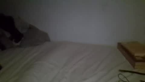 cunty_l0ve online show from May 2026 04:06:01 AM