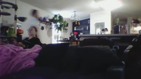 CuriousCouple303 online show from January 2025 04:25:01 PM