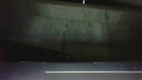 CuriousCouple303 online show from September 2025 01:31:02 AM