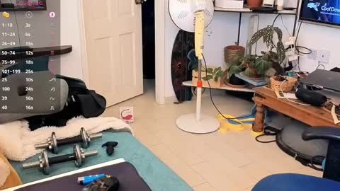 curiousgenie online show from April 2026 11:02:01 AM