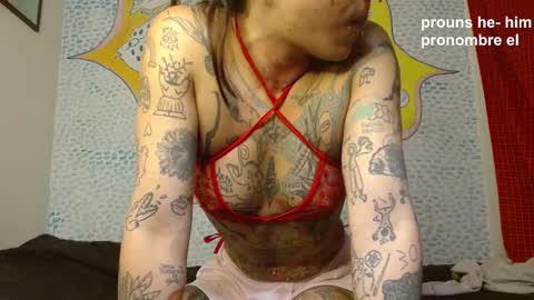 Curuba online show from December 2024 02:27:02 PM