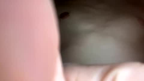 curvy24777 online show from February 2025 07:44:02 AM