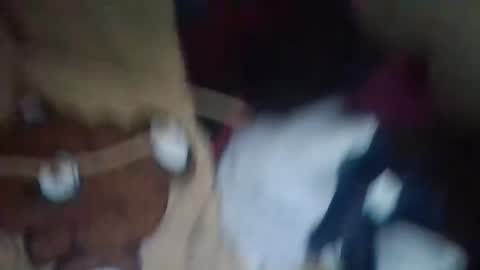 dahlia -kim online show from December 2024 08:40:02 PM