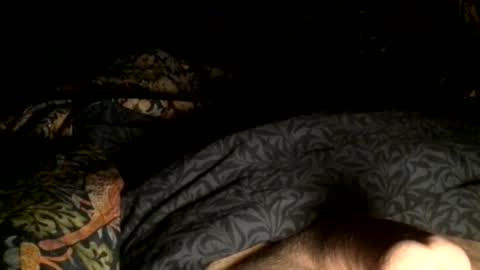 Steve online show from December 2024 07:35:01 AM