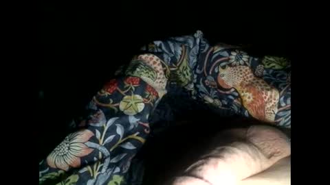 Steve online show from January 2025 04:07:01 AM