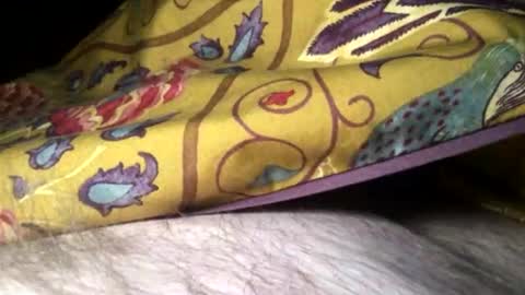 Steve online show from February 2025 11:34:01 PM