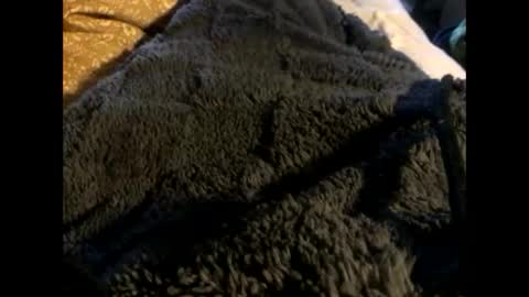 Steve online show from March 2025 12:54:02 PM