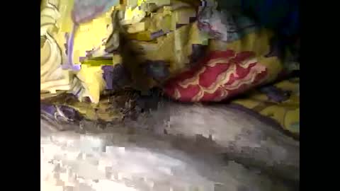 Steve online show from March 2025 06:37:01 AM