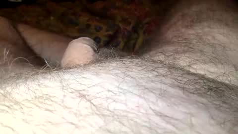 Steve online show from March 2025 12:41:01 PM