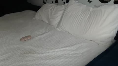 Anna online show from January 2025 01:52:01 PM