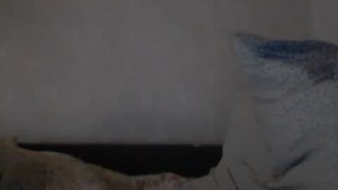cutekattie online show from December 2024 09:24:01 AM