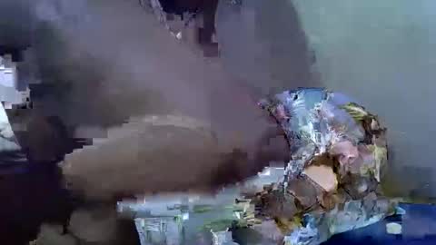 cutesexy44 online show from October 2025 07:09:02 AM