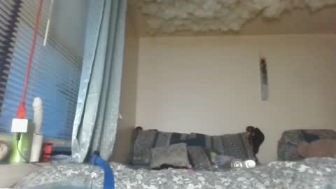 mary mack online show from February 2025 11:34:01 PM